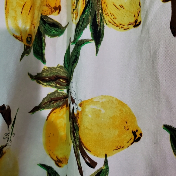 50's fit and flare skirt with lemons - Picture 4 of 4